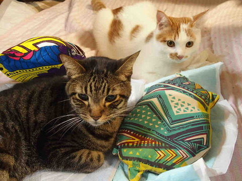 1160D03B-62CF-4804-911D-94ABEC17D508