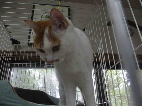 B05D3310-7C4F-4E54-9EE3-4DB00D44E425