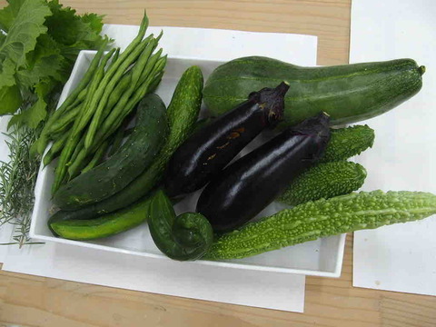 FC5C3D5F-0690-4D8F-816C-8487C9BA11C5