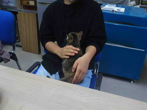 173969B9-EEDE-41C2-90D8-A1BA7F5B62E8