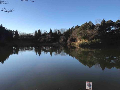 960AD4DE-48FF-45B9-8003-10F4C455DCA0