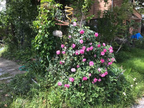 31F90339-E911-4233-8041-040F28841155