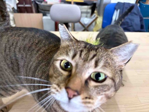 6C2E401F-5723-4836-8F20-869F00D77F46