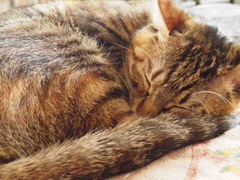 FF58A7A4-70EC-4687-AA77-1918C229B4E7