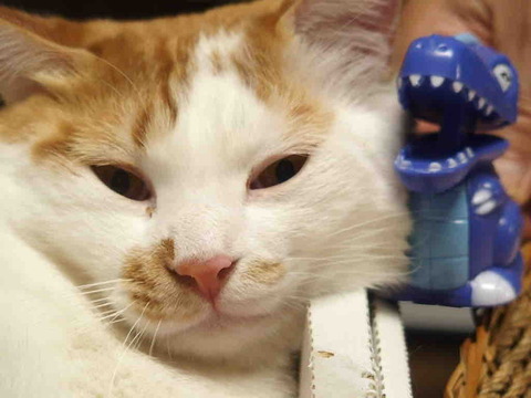 E8BAE9B0-F65C-460C-B5CB-7DD7F3C4E46C