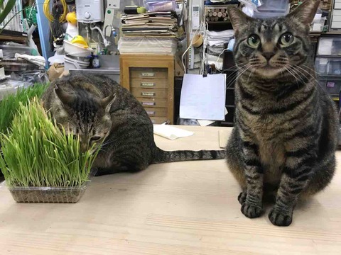 4FD9EC98-9ECC-4784-8B65-A18E3E4B5557