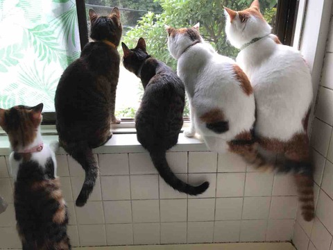 56E54649-94D6-4065-8E83-323642D77E4F