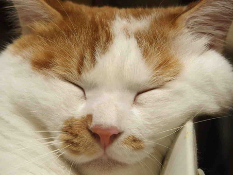 67B59486-F65D-42D8-9BC0-C2659B142F0A