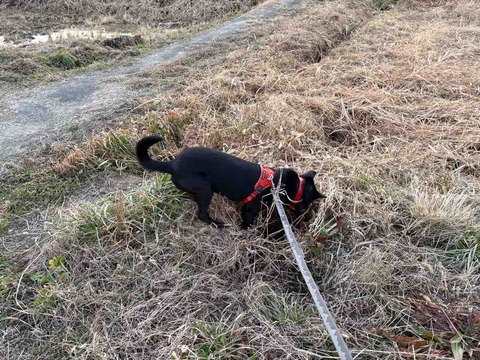 9B4FECED-B828-40B2-8997-2EEE2283C95D