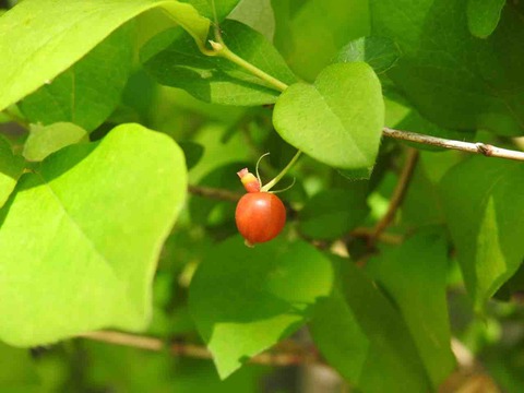 134E1762-9827-49F8-A6B2-7F334703D455