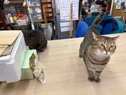 B889FF19-7C78-4D2C-820B-C724A8A89063