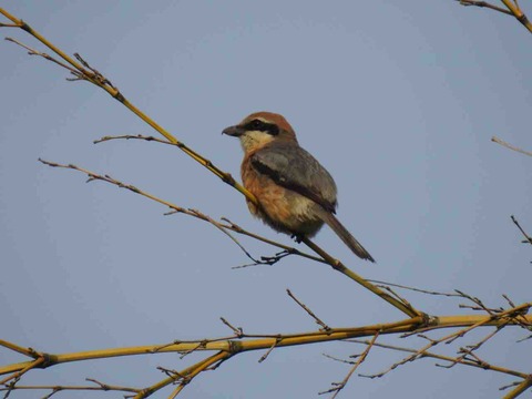 6A45D5B8-431E-4939-9021-329CEE58756E