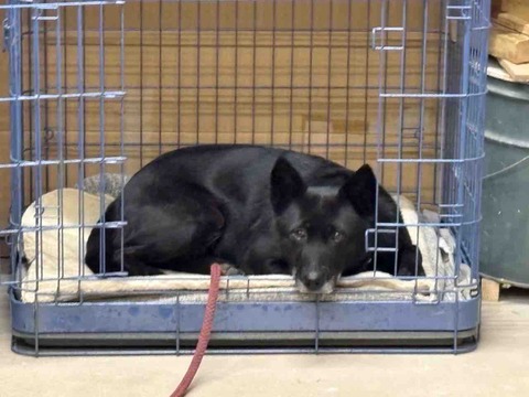 70410C2B-23D1-47D2-9537-41586AFD1614