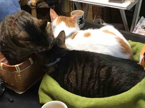 A56B9916-9F00-43AE-BDC9-28EFE4E0C2C5