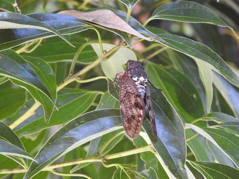 2CCCA194-2C47-4CFB-9B22-89D574504CAB