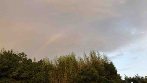 88B12A72-1195-42C2-A3AD-086CFE4CDCE6