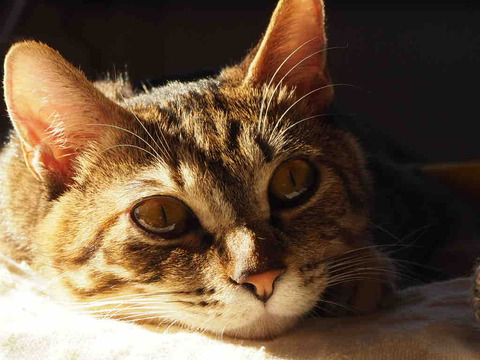 B1DE4B87-3829-4C56-8DCD-B0A0C8436766