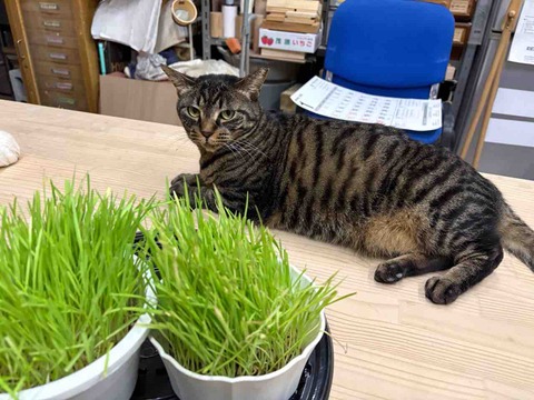 22C38867-6A85-46DF-AB3A-3DF5212E297E