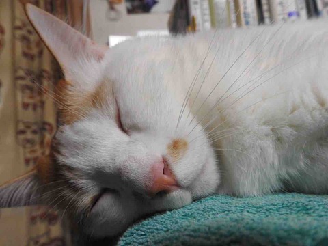 770A021F-96C7-436C-B81D-29375BFC4C11