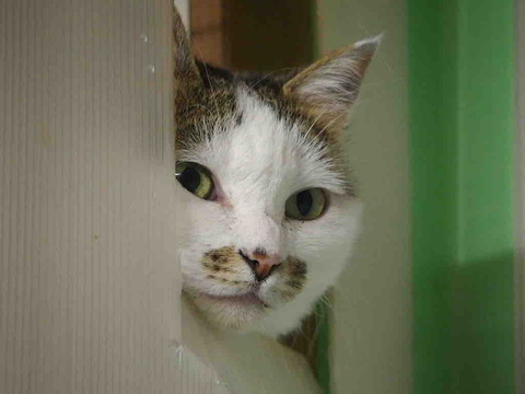 8DC698F1-A66D-4F0E-94EF-6C082E3991AF