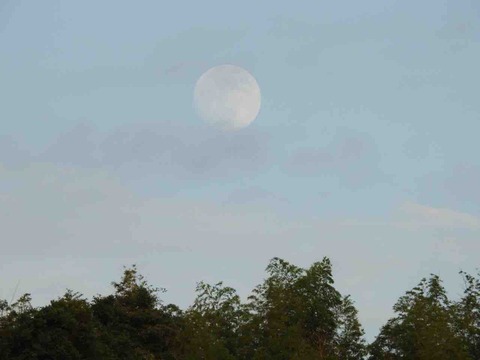 131A39A6-0038-49CA-B4A5-7CD374A61F40