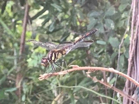 F544638F-B47A-4695-8E43-EB3DCA65486D