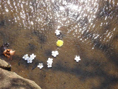 911D337A-AE05-43C5-93E7-8F48DBA6DBFF