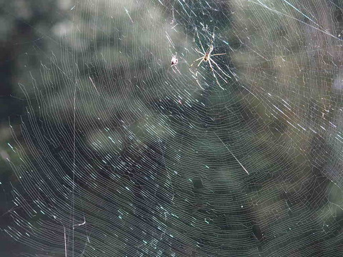 01277F29-CF92-443A-B7FA-B1B5D413BE35