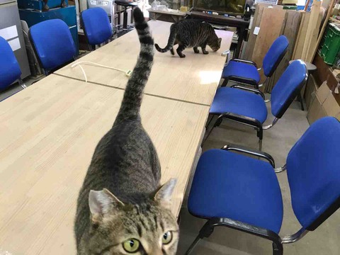 C7E04032-FE58-4AE0-9C4A-D9A5D9CD7AC4