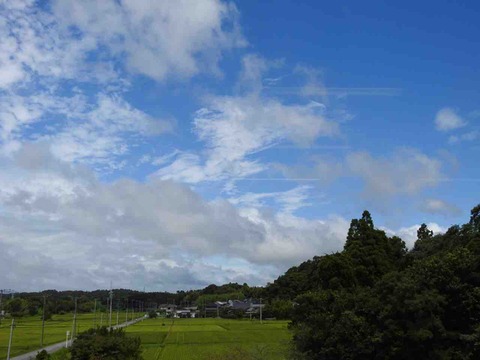 6076BF0F-9E55-4DFB-9A57-AB3633B47EFA