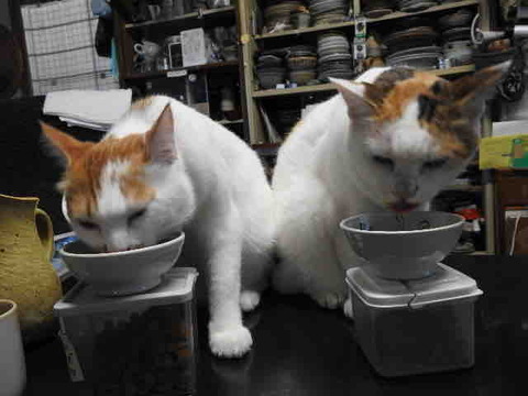 BC5E3B95-F641-473F-9B87-C0FABC40A88B