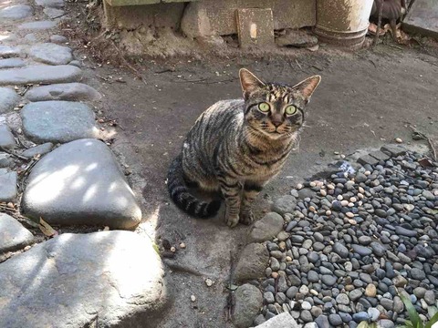 CDC7365F-3336-4894-BF4C-93F678C49BD8