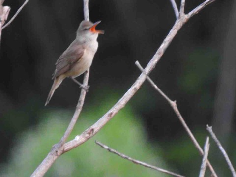 41B507EB-E7A2-4622-9983-4CEA1BC46192