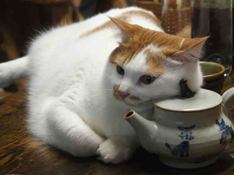 DEC0784A-9455-4337-84FC-A1CDB8285101