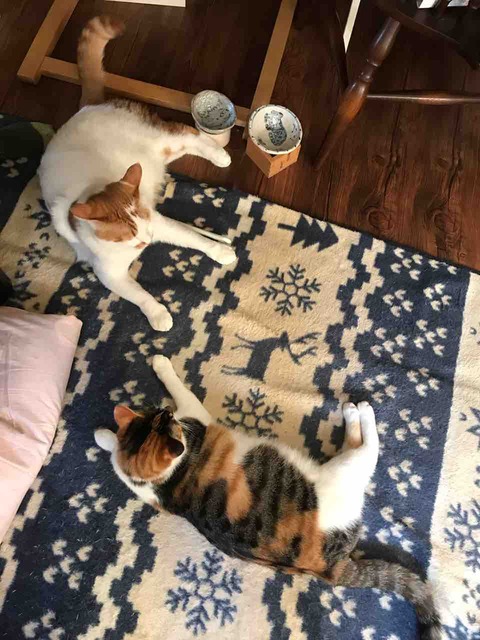 8B775E27-1EA6-4F9A-9660-6B7FC6057C3F