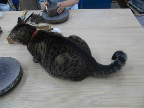 0BFD5D8A-2A07-475E-96A1-3C454A38A5EF