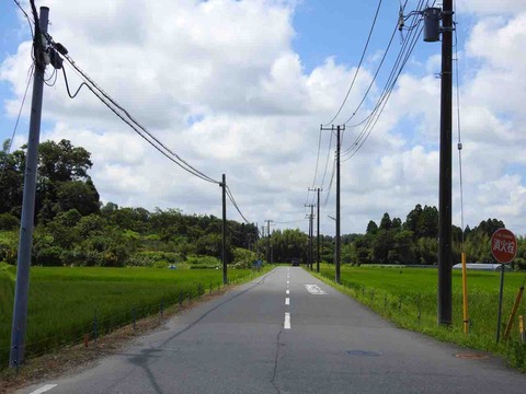 C13A256B-B75E-40BC-9CB8-BD1F3F42F23D