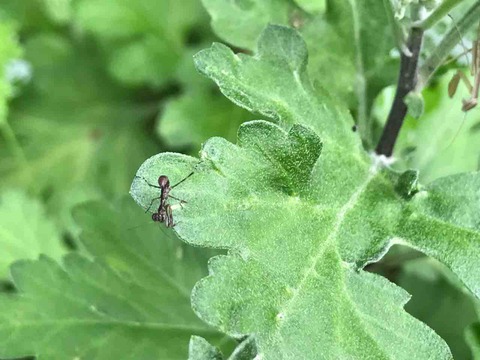 54CDD786-0EBD-4D57-BBFA-6DC05F4BEC97