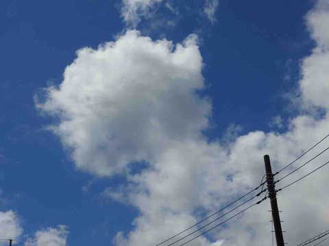 EB9E4C23-BFD9-41D5-AE09-DCE7493073DF