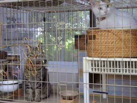 044234A2-BD29-472C-B897-BAD3B1C44426