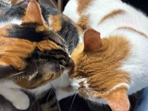 F93863C9-09F0-42EC-A131-5B7A071A1CFD