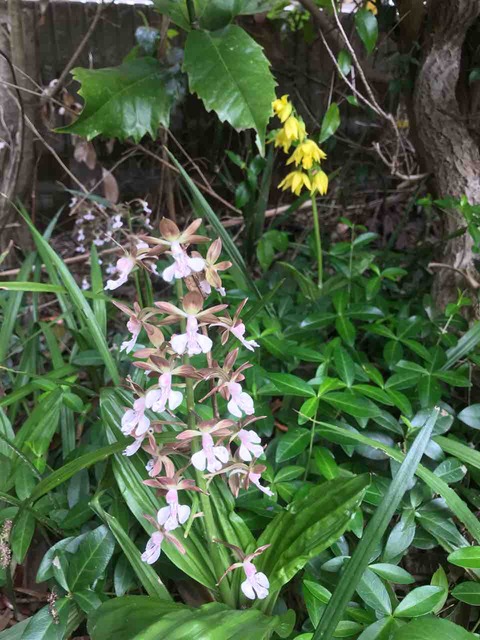 8EE10E37-6068-45B9-A777-F1FC9A3A6DFF