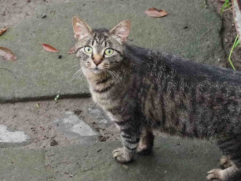 E3E6B3F2-8638-43C3-933C-BF511589F241