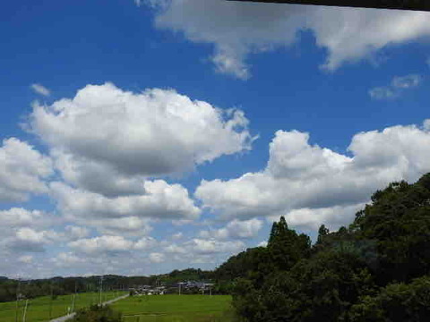 CEC2AF0D-B4A7-419C-A6F5-D94EDF6BEB98