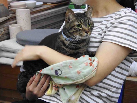 E6046797-C730-4805-897A-4F58A180D646