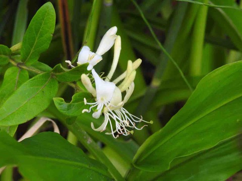 6D20A657-7894-4258-87D7-F498B3AF3FEF