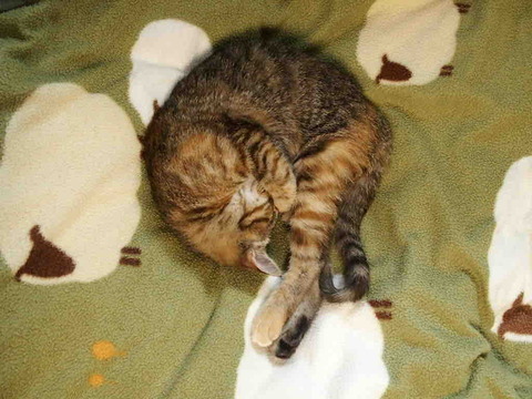 7DE1AF6D-B575-435D-AF7D-AC709D0CD6A6