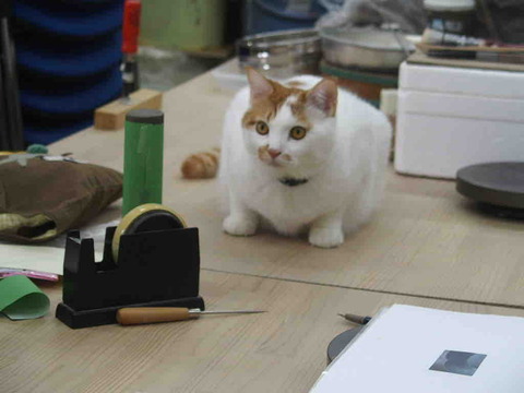 FA9CE8F7-A2E0-4946-9BD3-BF993D300AB7