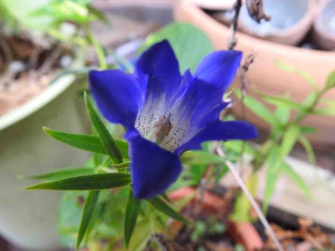 0DEB8775-9161-45A6-A3BC-9772437E3784