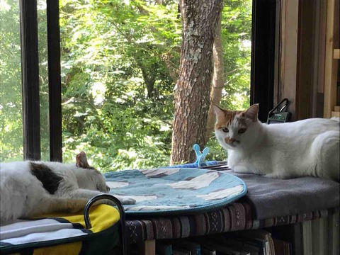 E8976B71-DCF6-4C79-9F15-3E0DBA3C3A79